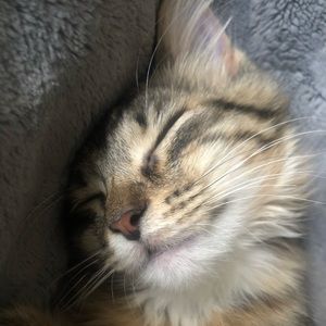 Meet your Posher, Lexie